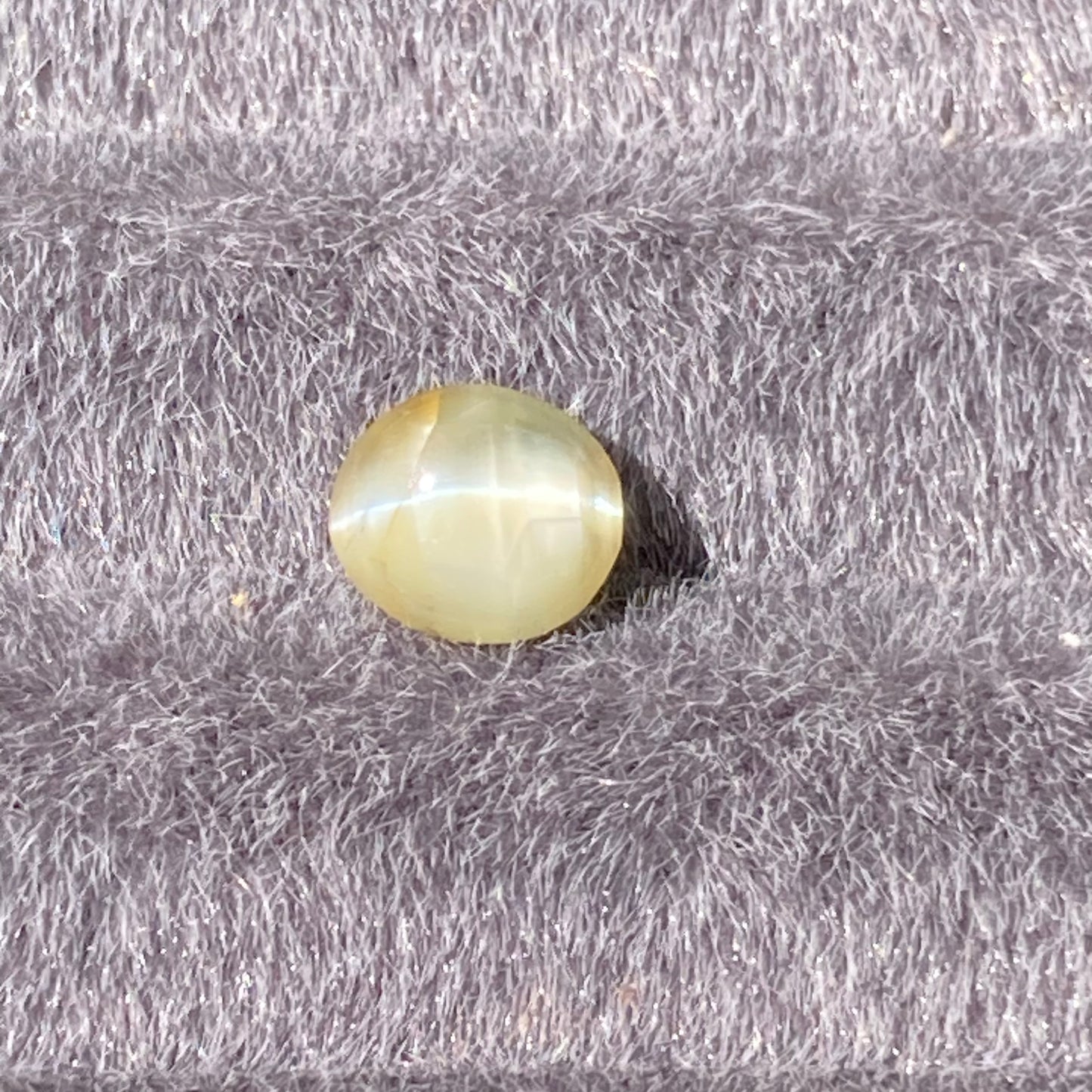 Natural Chrysoberyl Cat's Eye