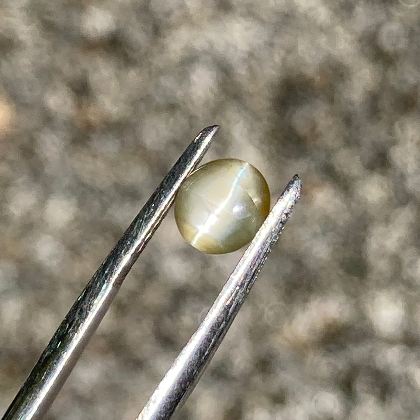 Natural Chrysoberyl Cat's Eye