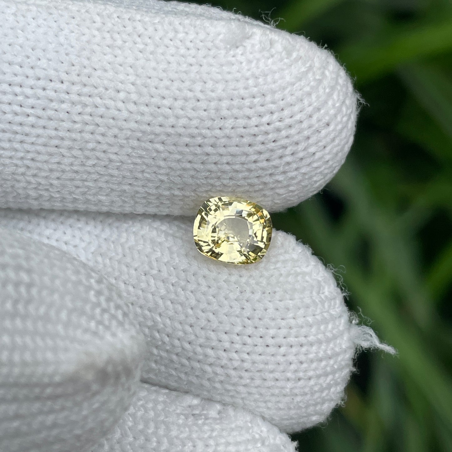 Natural Yellow Sapphire 1.47 Carat
