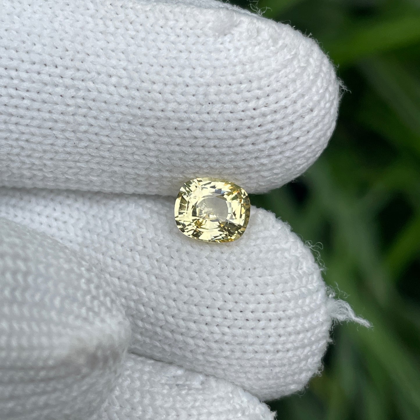 Natural Yellow Sapphire 1.47 Carat