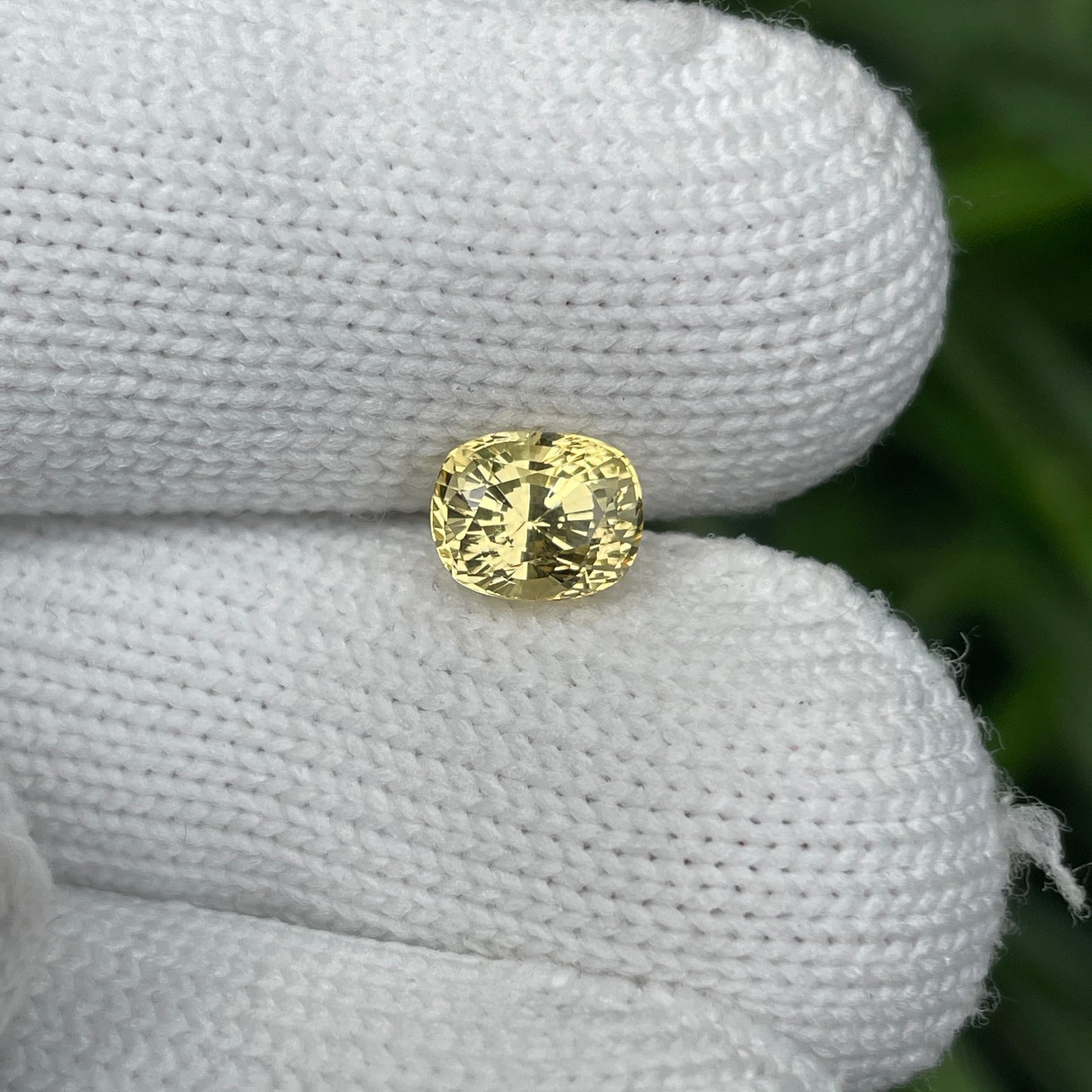 Natural Yellow Sapphire 2.04 Carat