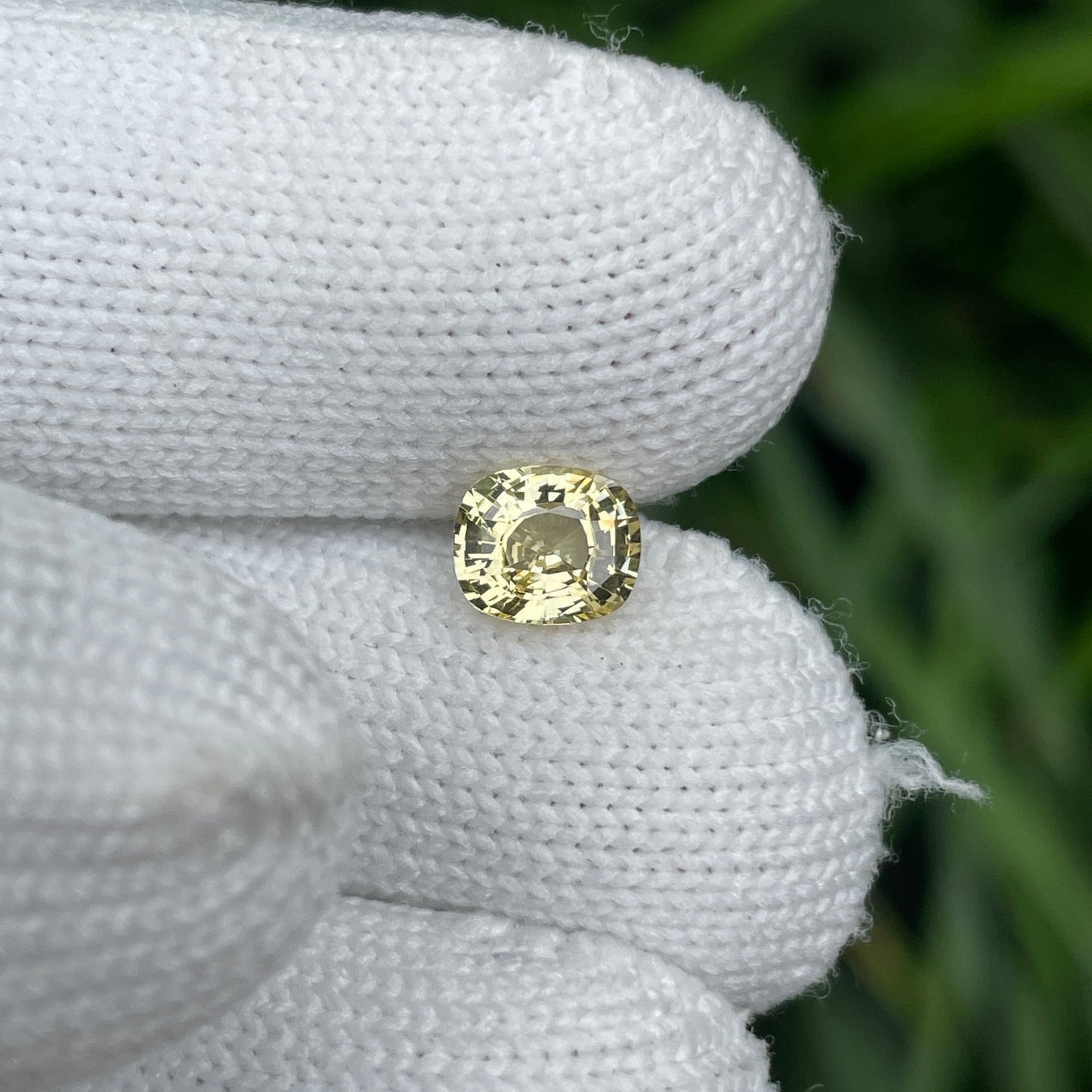 Natural Yellow Sapphire 1.47 Carat