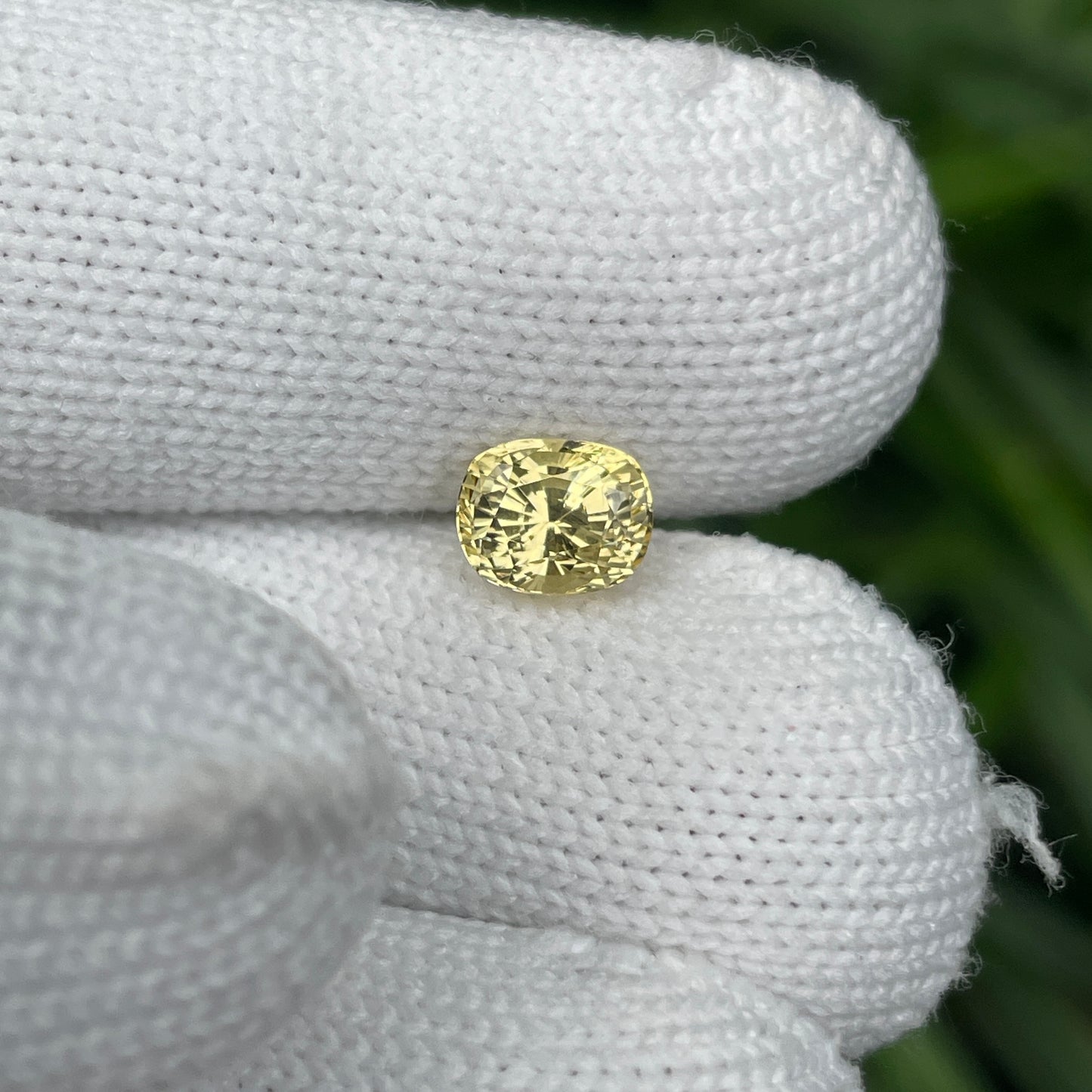 Natural Yellow Sapphire 2.04 Carat