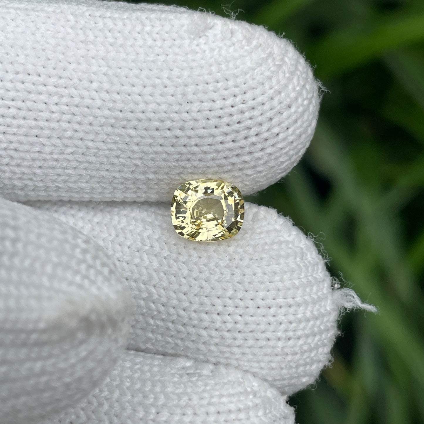 Natural Yellow Sapphire 1.47 Carat