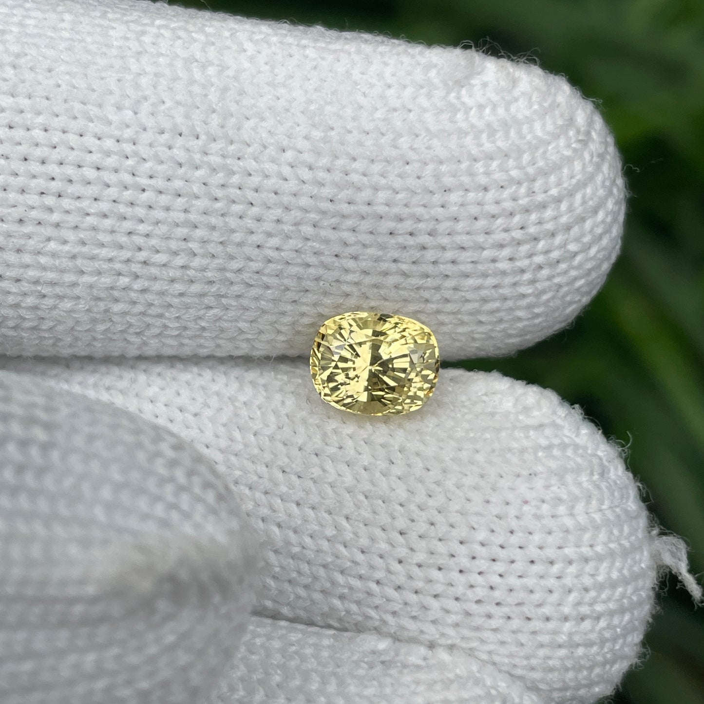 Natural Yellow Sapphire 2.04 Carat