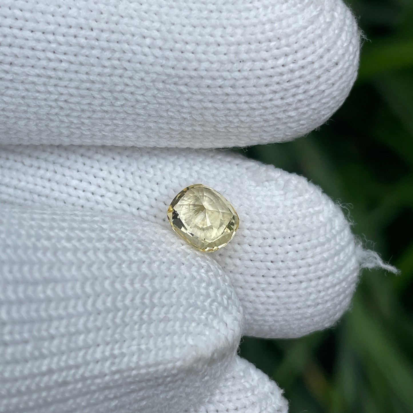 Natural Yellow Sapphire 1.47 Carat