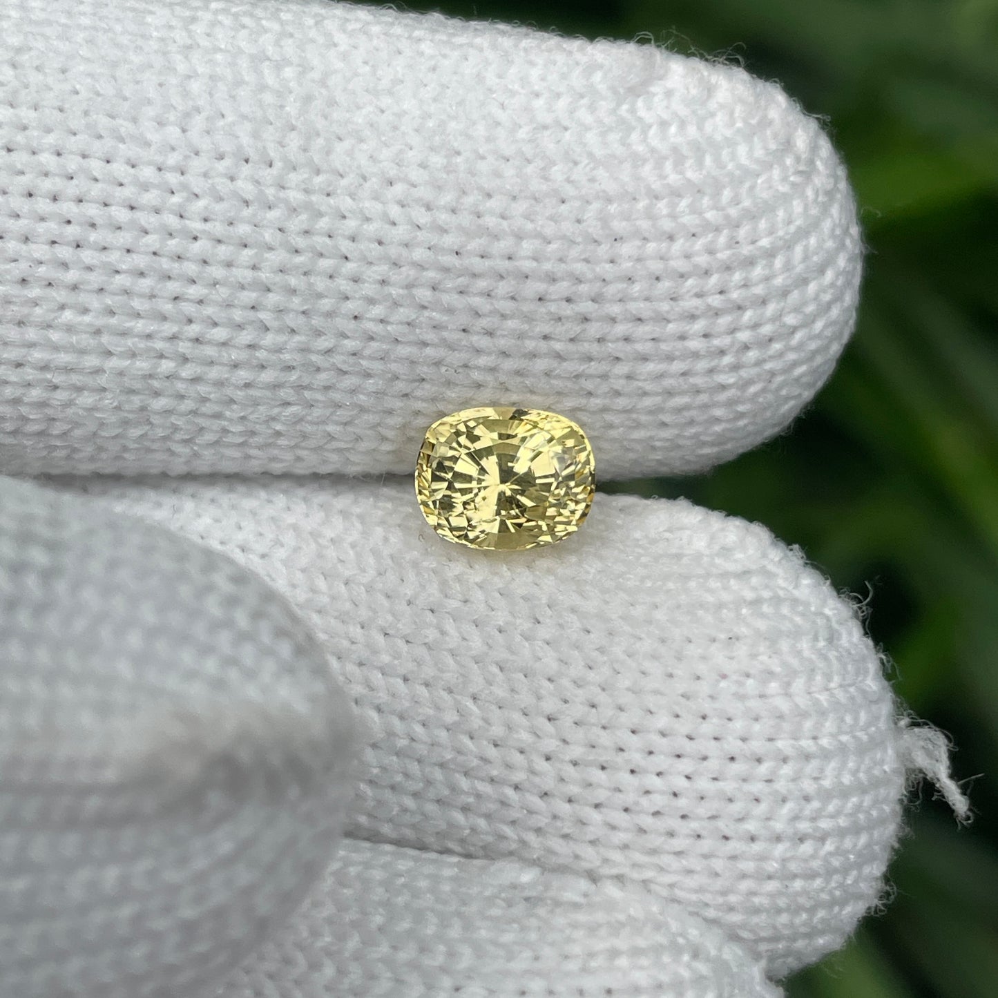 Natural Yellow Sapphire 2.04 Carat