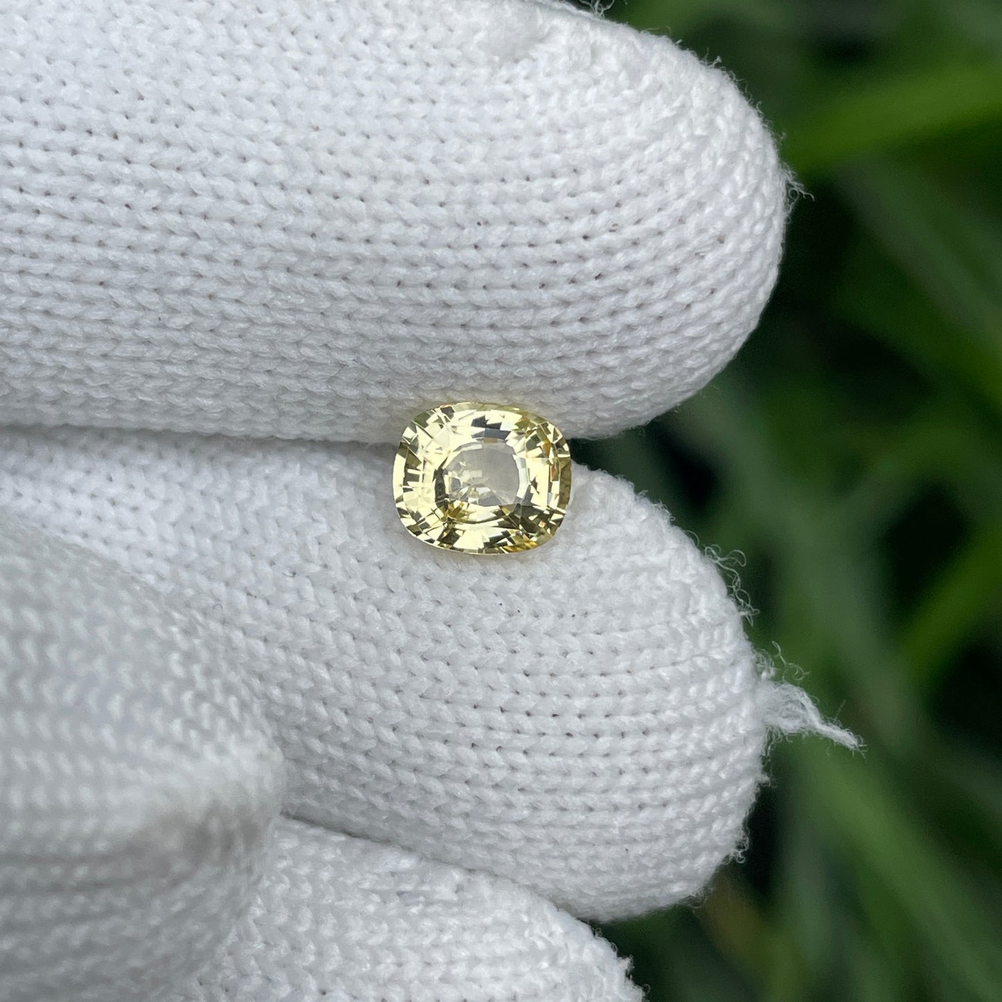 Natural Yellow Sapphire 1.47 Carat